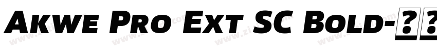 Akwe Pro Ext SC Bold字体转换